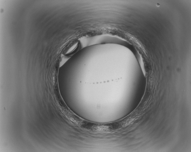 X0000087640501200705181529