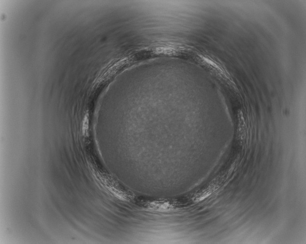 X0000087640502200705181529