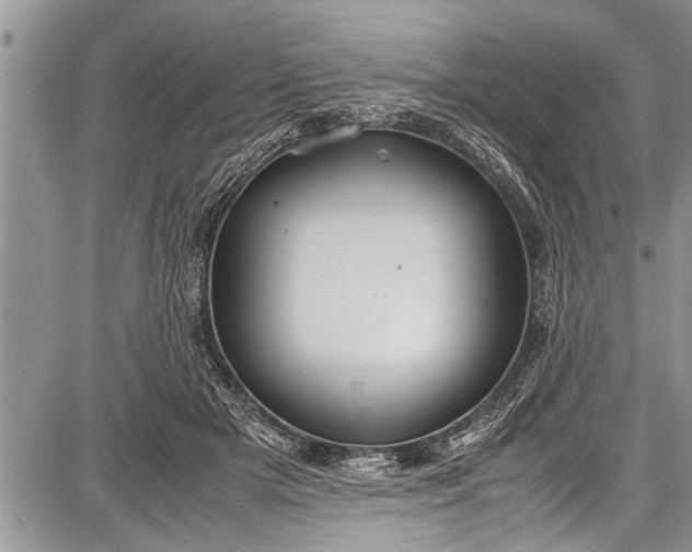 X0000087640505200705181529