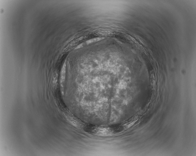 X0000087640507200705181529