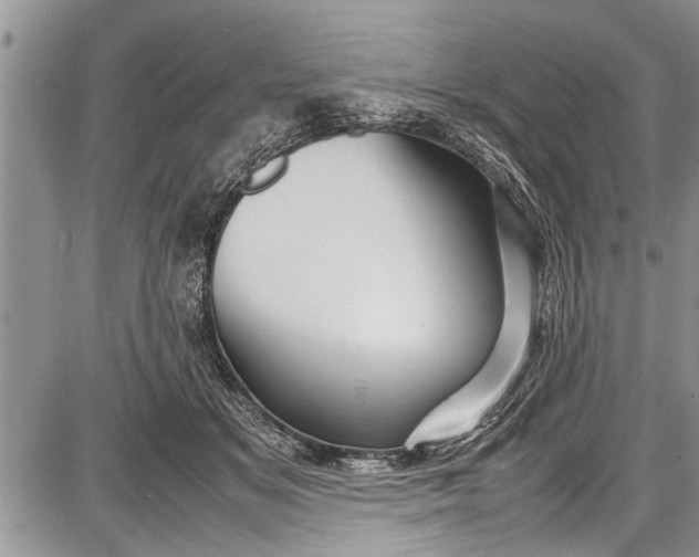 X0000087640509200705181529