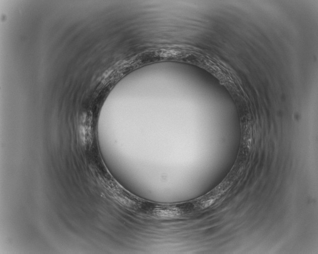 X0000087640510200705181529