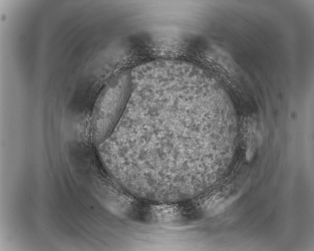 X0000087640511200705181529