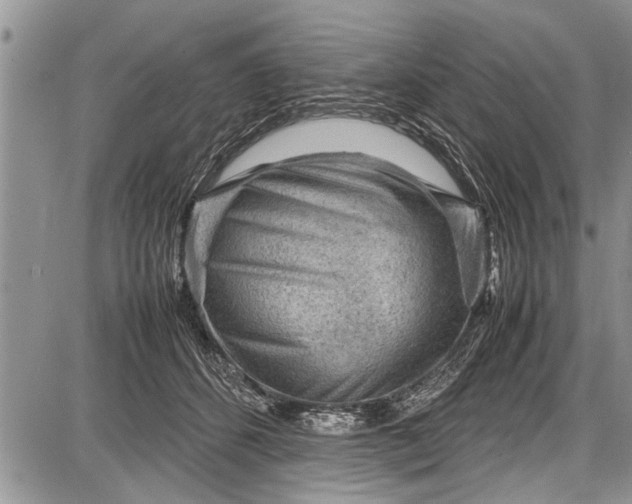 X0000087640512200705181529