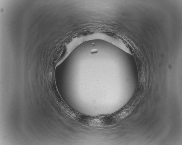 X0000087640513200705181529