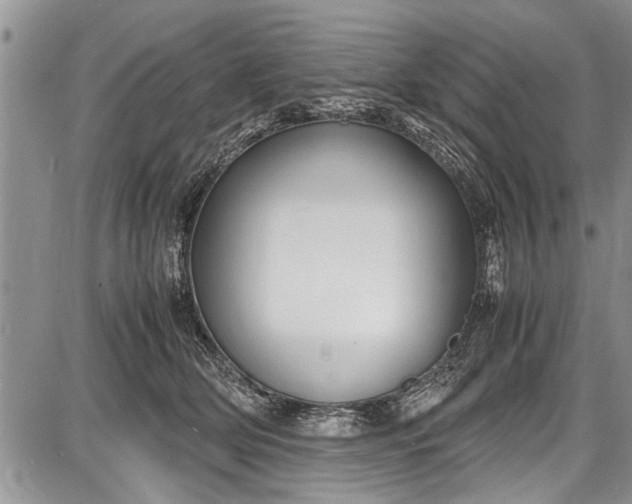 X0000087640514200705181529