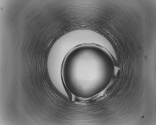 X0000087640516200705181529