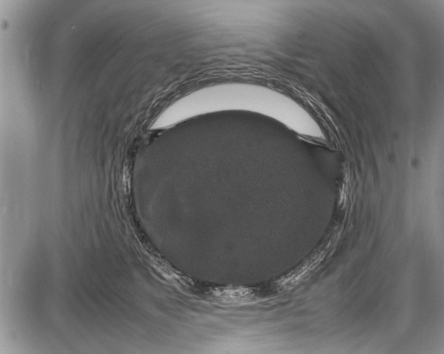 X0000087640517200705181529