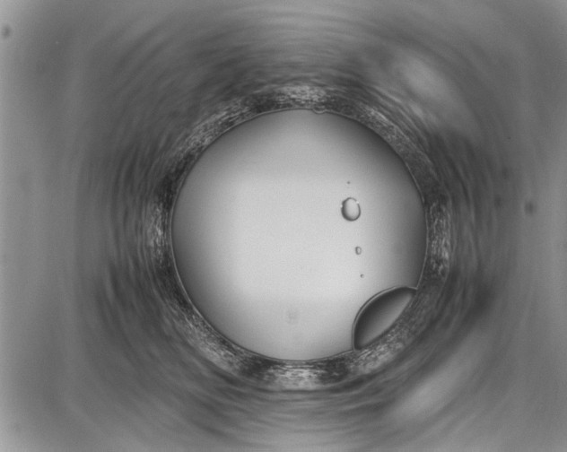 X0000087640518200705181529