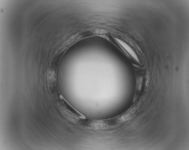 X0000087640521200705181528