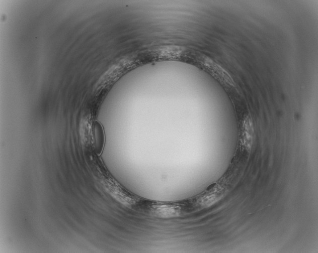 X0000087640522200705181528