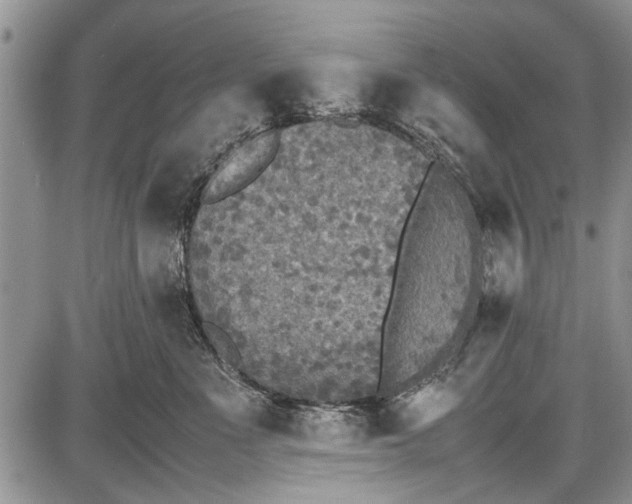 X0000087640523200705181528