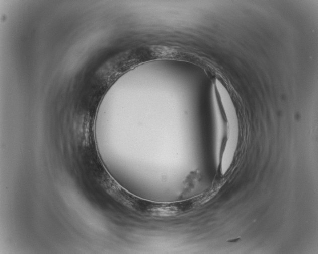 X0000087640525200705181528