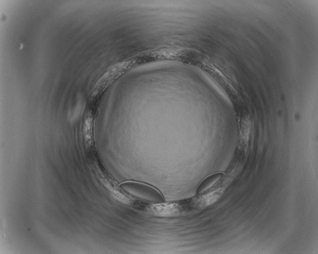 X0000087640526200705181528