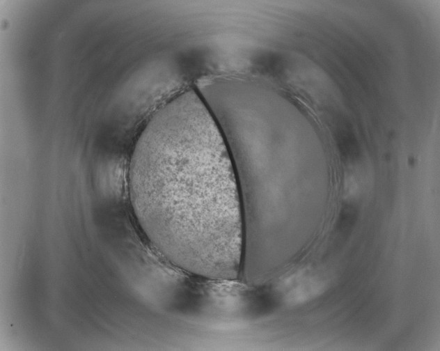 X0000087640527200705181528