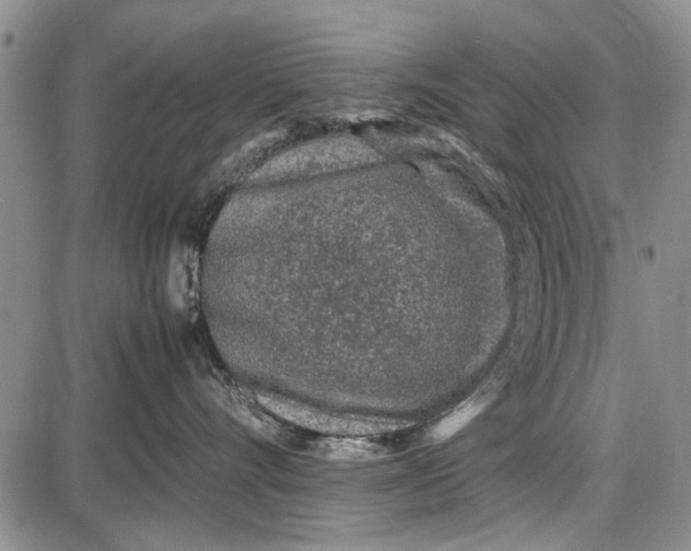 X0000087640528200705181528