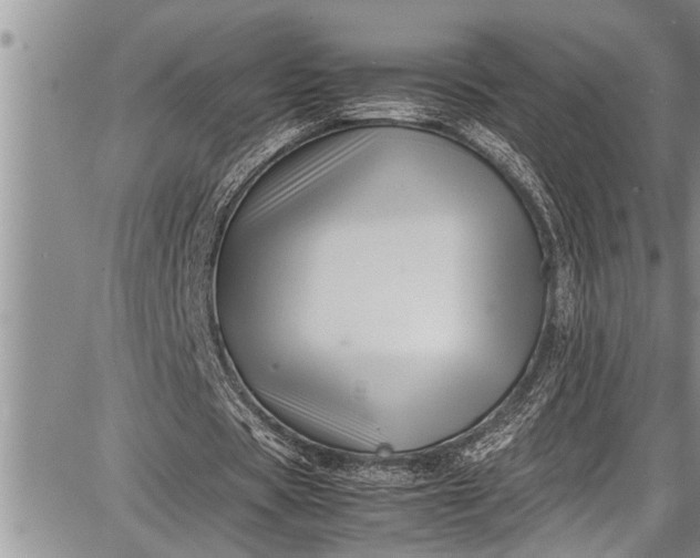 X0000087640529200705181528