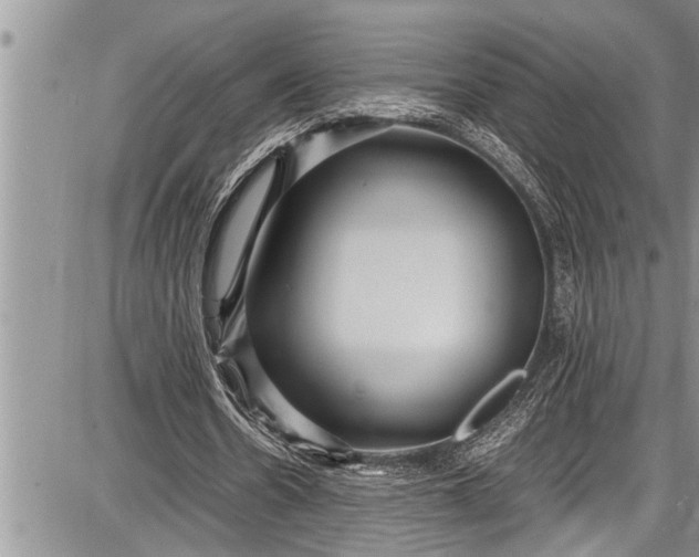 X0000087640530200705181528