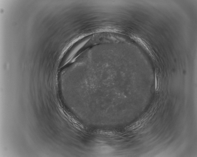 X0000087640531200705181528