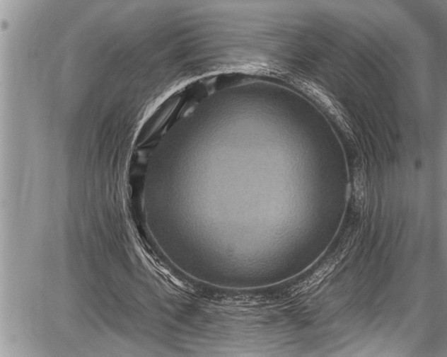 X0000087640532200705181528