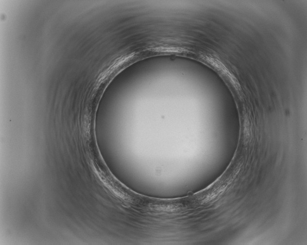 X0000087640533200705181528