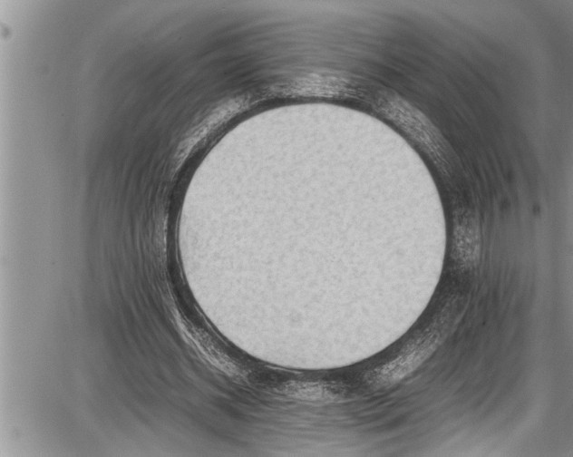 X0000087640534200705181528