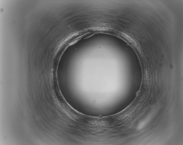 X0000087640535200705181528