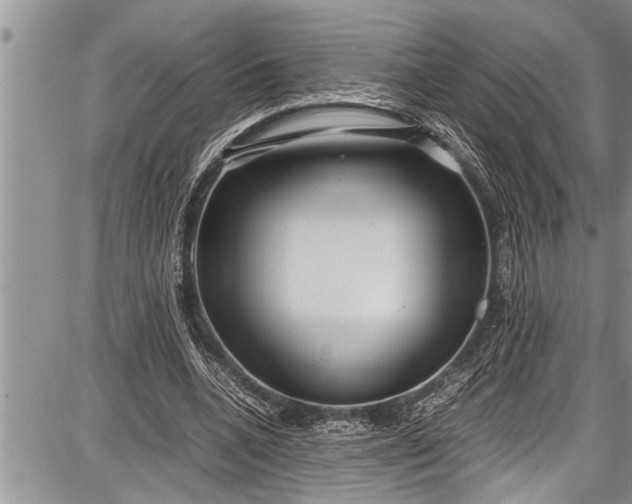 X0000087640536200705181528