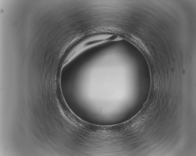 X0000087640538200705181528