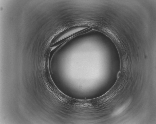 X0000087640539200705181528