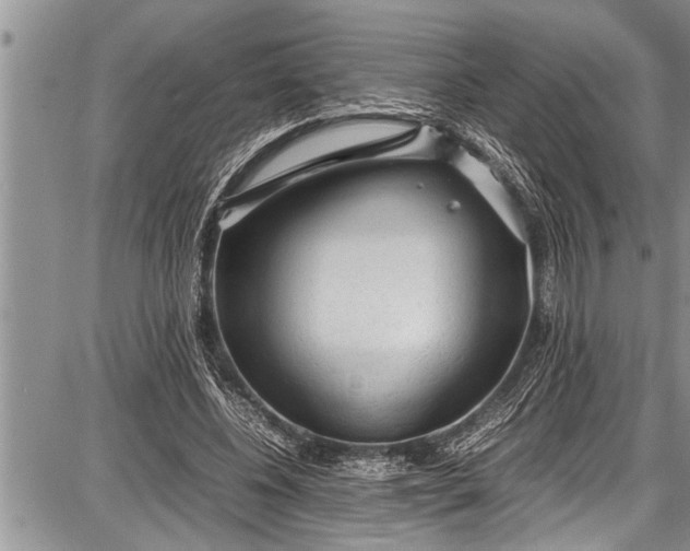 X0000087640540200705181528