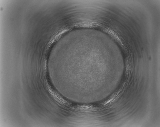 X0000087640542200705181528