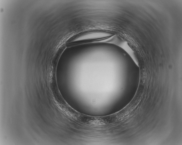 X0000087640544200705181528