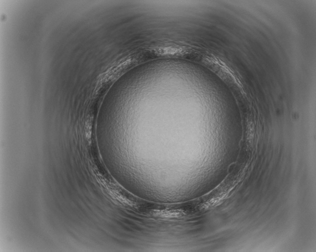 X0000087640545200705181528