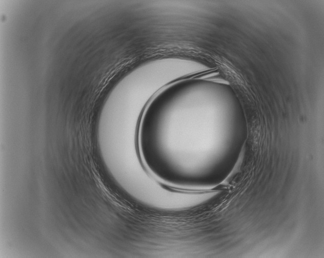 X0000087640546200705181528