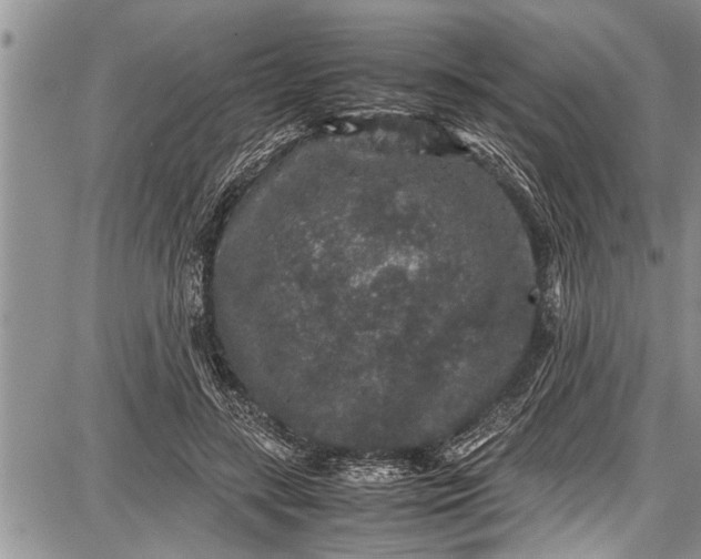 X0000087640547200705181528