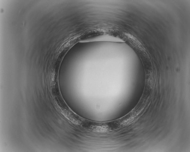 X0000087640548200705181528