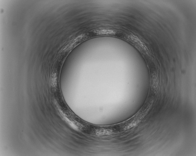 X0000087640549200705181528