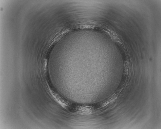 X0000087640550200705181528