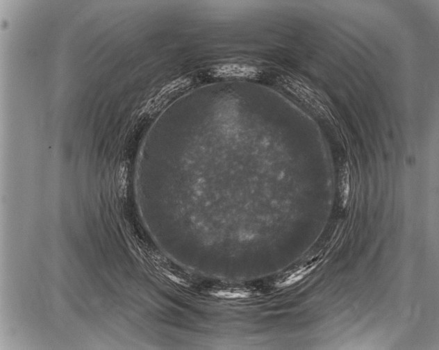 X0000087640551200705181528