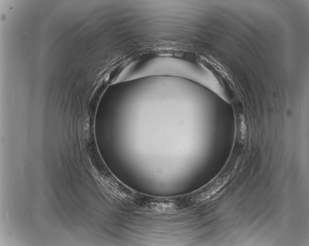 X0000087640552200705181528