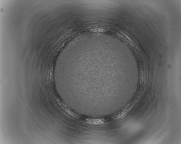 X0000087640553200705181528