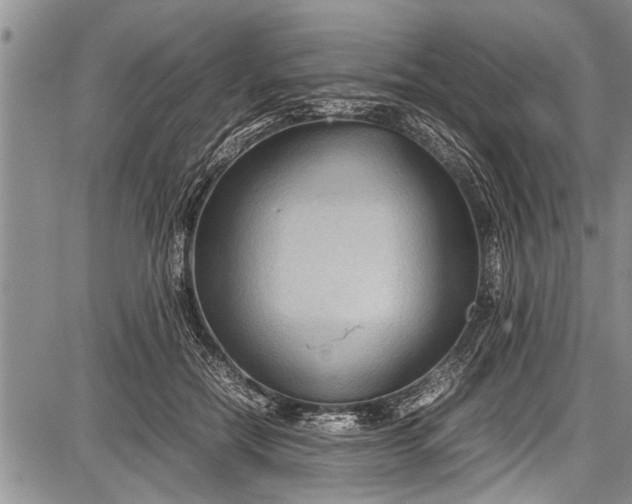 X0000087640554200705181528