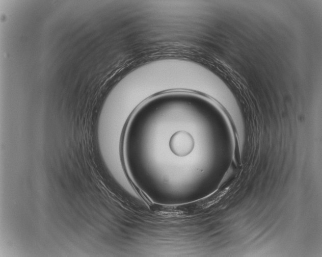 X0000087640556200705181528