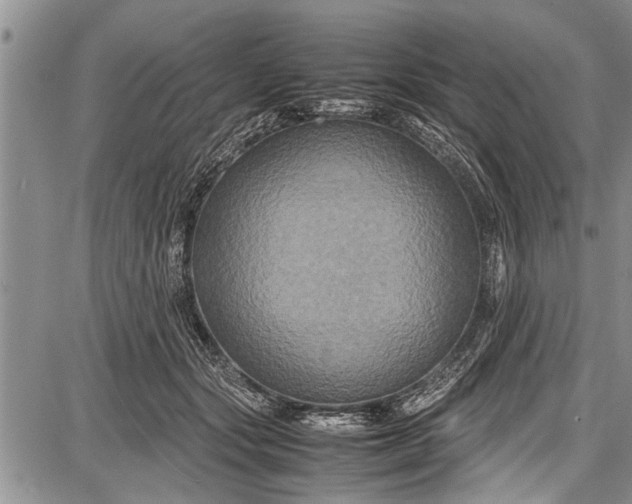 X0000087640557200705181528