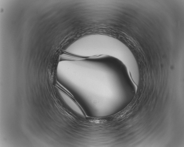 X0000087640558200705181528