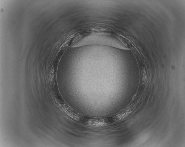 X0000087640559200705181528