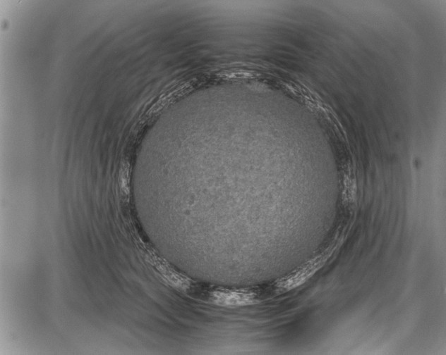 X0000087640561200705181528