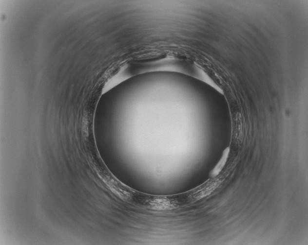 X0000087640562200705181528