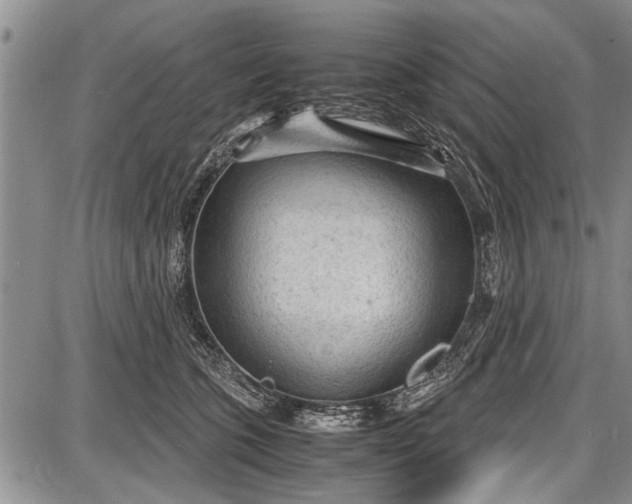 X0000087640563200705181528